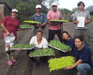 Projekt in Region entre rios in Argentinien